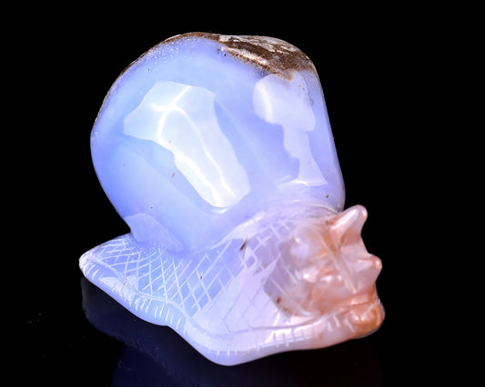 Nicedony 3.5" Blue Chalcedony Hand Carved Crystal Snail Sculpture
