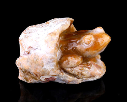 Nicedony 3.5" Chalcedony Hand Carved Crystal Frog Sculpture