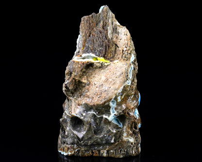 Nicedony 3.6" Blue Aragonite Hand Carved Skull Sculpture - View 5