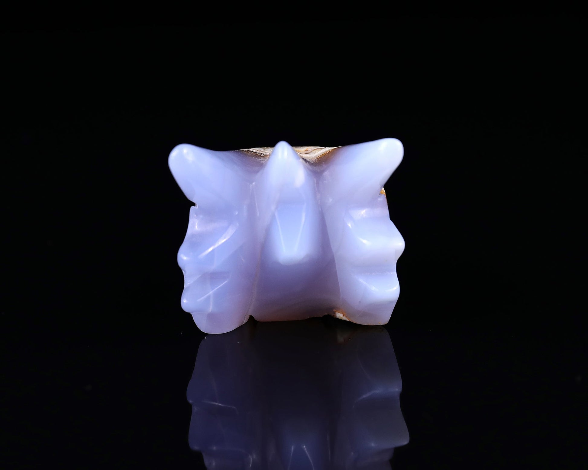 Nicedony 3.6" Blue Chalcedony Hand Carved Phoenix Skull Sculpture - View 5