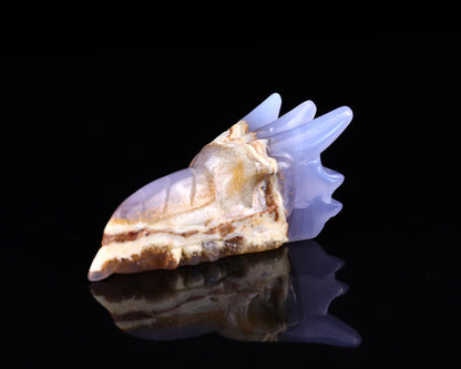 Nicedony 3.6" Blue Chalcedony Hand Carved Phoenix Skull Sculpture - View 7