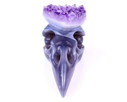 Nicedony 3.7" Amethyst Druse Agate Hand Carved Crystal Raven Skull Sculpture - View 5
