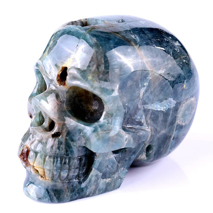 Nicedony 3.7" Blue Apatite Hand Carved Realistic Skull Sculpture
