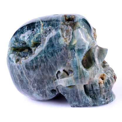 Nicedony 3.7" Blue Apatite Hand Carved Realistic Skull Sculpture - View 5