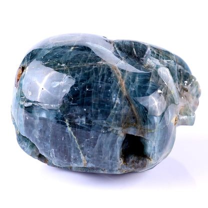 Nicedony 3.7" Blue Apatite Hand Carved Realistic Skull Sculpture - View 10