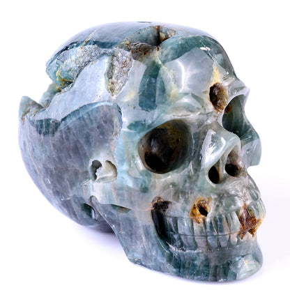 Nicedony 3.7" Blue Apatite Hand Carved Realistic Skull Sculpture - View 4