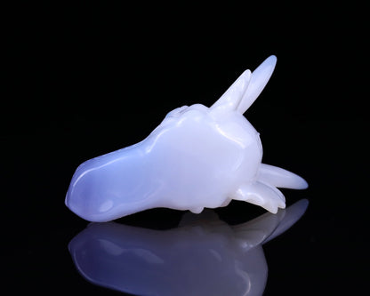 Nicedony 3.7" Blue Chalcedony Hand Carved Dragon Skull Sculpture - View 5