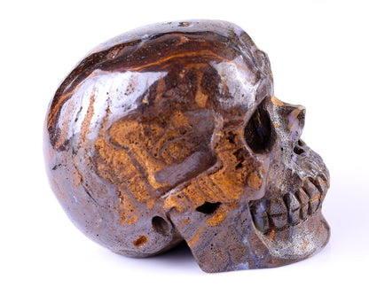 Nicedony 3.7" Opal Hand Carved Crystal Realistic Skull Sculpture - View 5