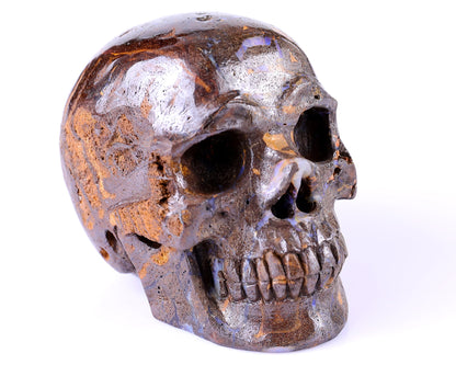 Nicedony 3.7" Opal Hand Carved Crystal Realistic Skull Sculpture - View 2