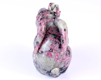 Nicedony 3.7" Rhodonite Hand Carved Crystal Rabbit Sculpture - View 5