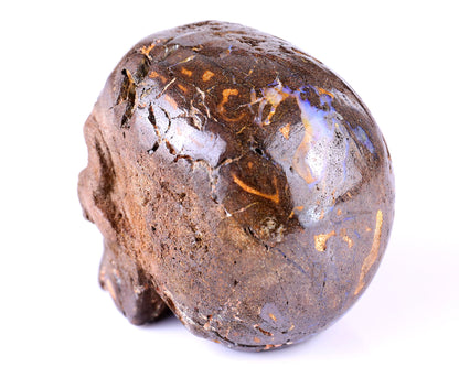 Nicedony 3.8" Opal Hand Carved Crystal Realistic Skull Sculpture - View 8