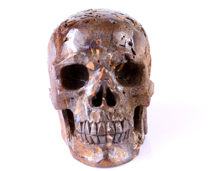 Nicedony 3.8" Opal Hand Carved Crystal Realistic Skull Sculpture - View 3