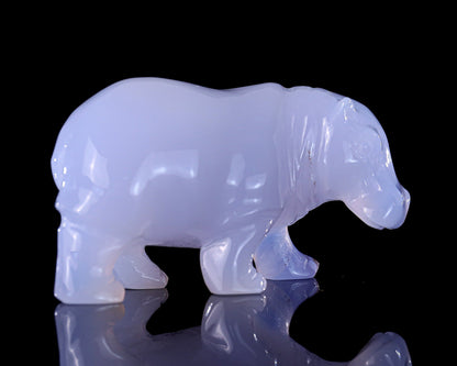 Nicedony 3.9" Blue Chalcedony Hand Carved Crystal Hippo Sculpture - #4100014