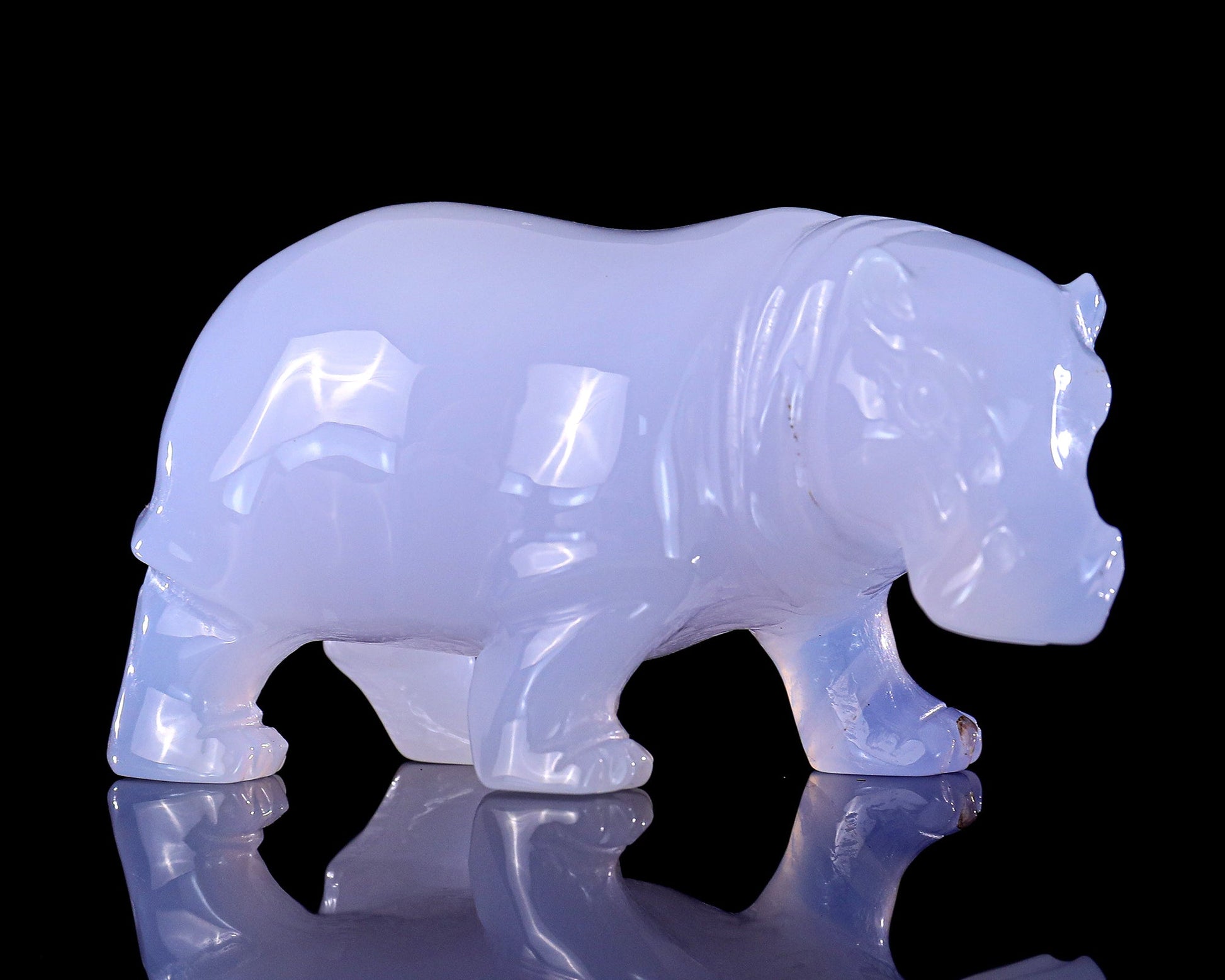 Nicedony 3.9" Blue Chalcedony Hand Carved Crystal Hippo Sculpture - View 4
