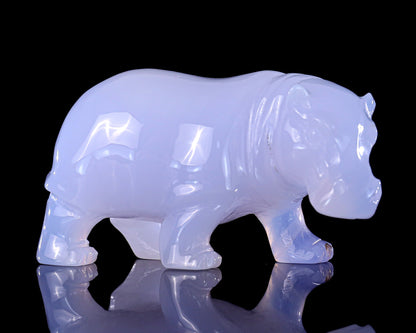Nicedony 3.9" Blue Chalcedony Hand Carved Crystal Hippo Sculpture - View 4