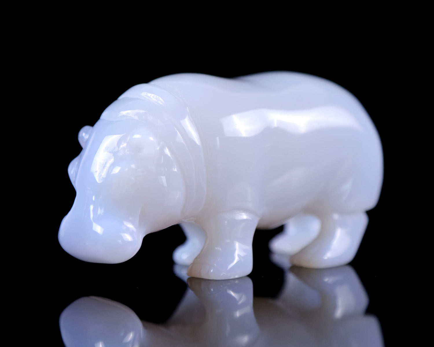 Why We Carve Animals