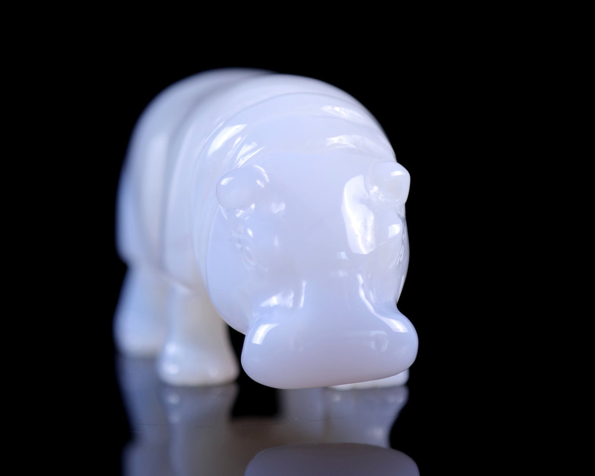 Nicedony 3.9" Blue Chalcedony Hand Carved Crystal Hippo Sculpture - View 22