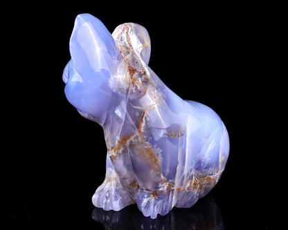Nicedony 3.9" Blue Chalcedony Hand Carved Crystal Koala Sculpture - View 7
