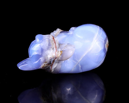 Nicedony 3.9" Blue Chalcedony Hand Carved Crystal Koala Sculpture - View 9