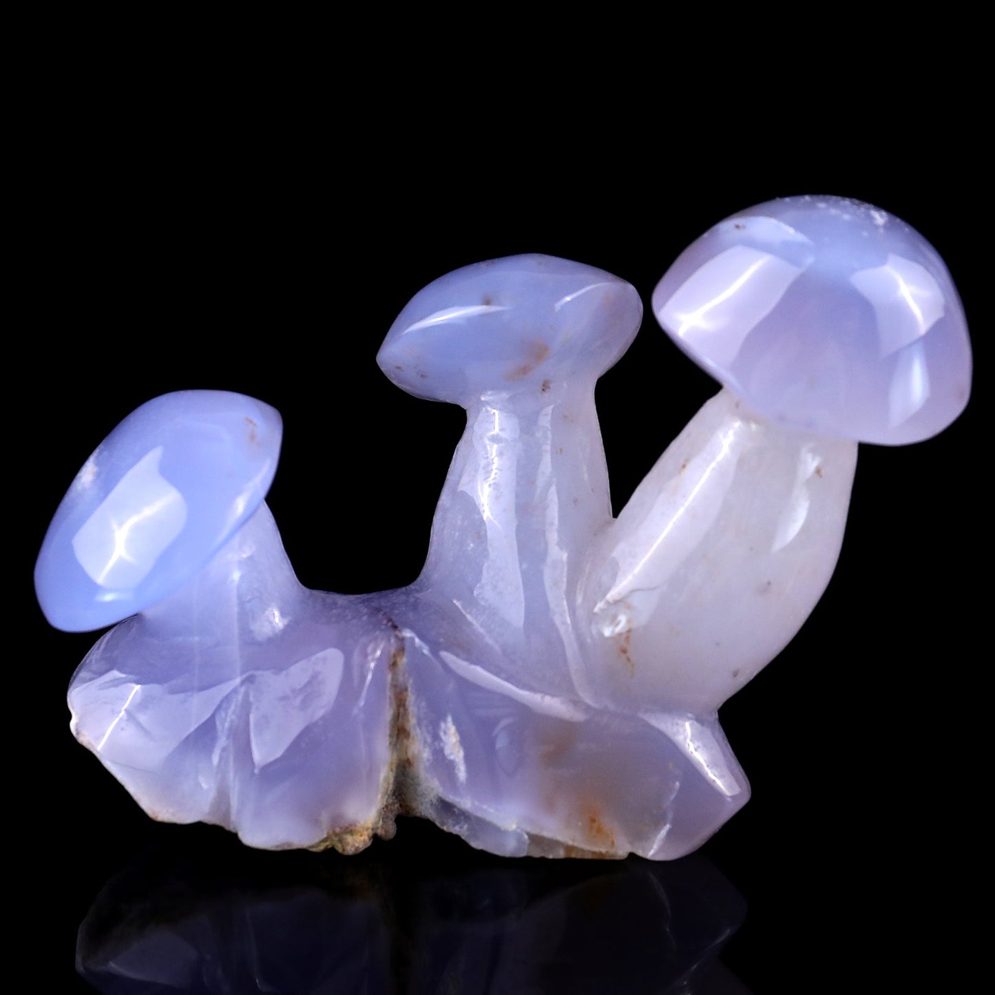 Nicedony 3.9" Blue Chalcedony Hand Carved Crystal Mushrooms Sculpture