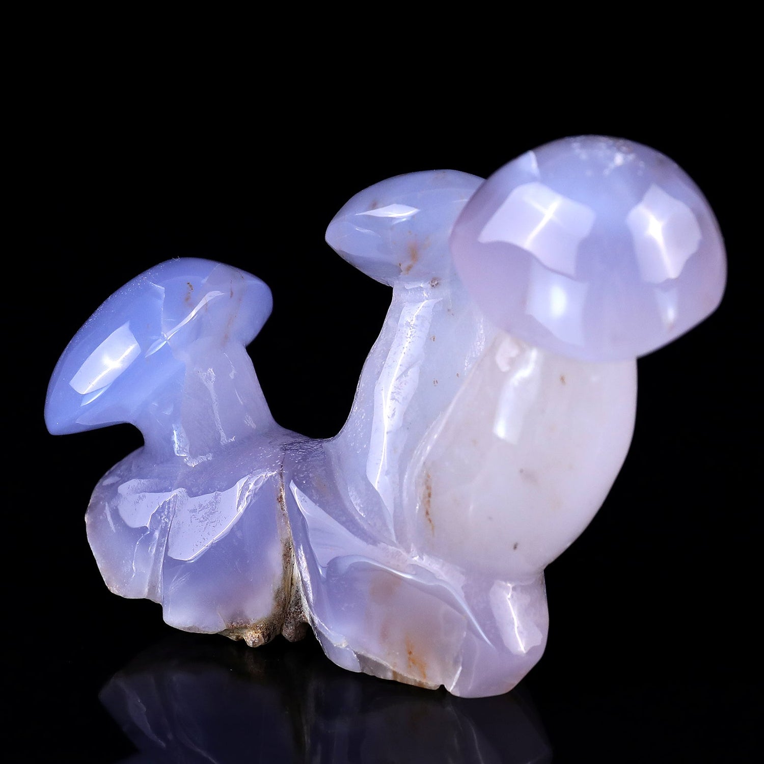Why We Carve Festive Forms