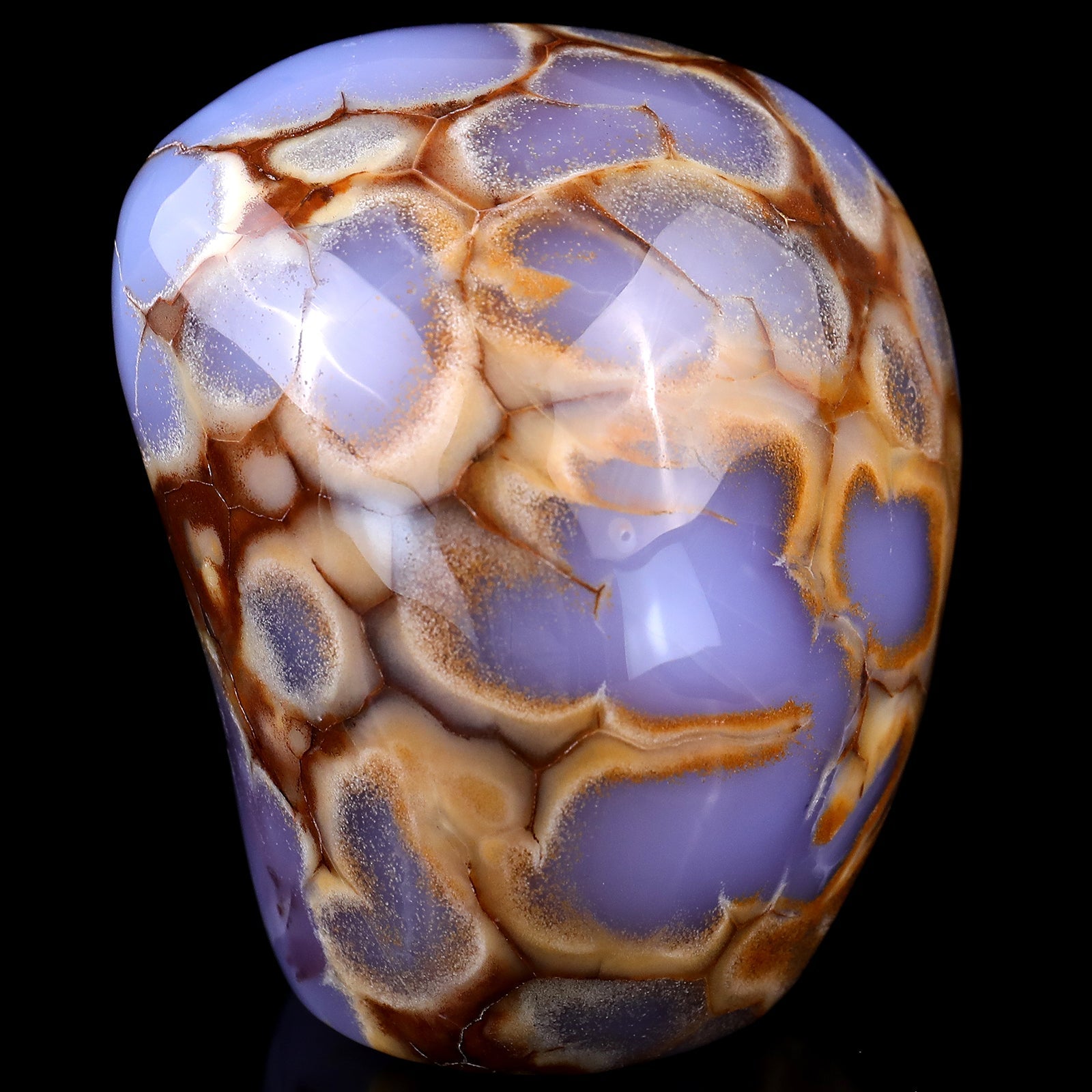 Nicedony 3.9" Blue Chalcedony Hand Carved Crystal Polished Stone - #1100035