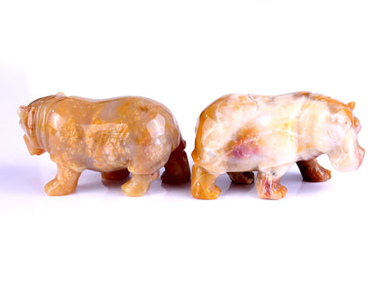 Nicedony 3.9" Chalcedony Hand Carved Crystal Hippo Sculpture - View 5