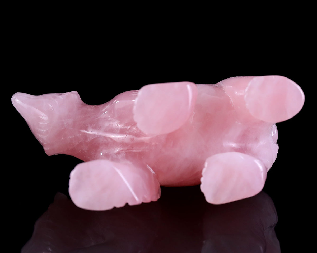 Why We Carve Animals