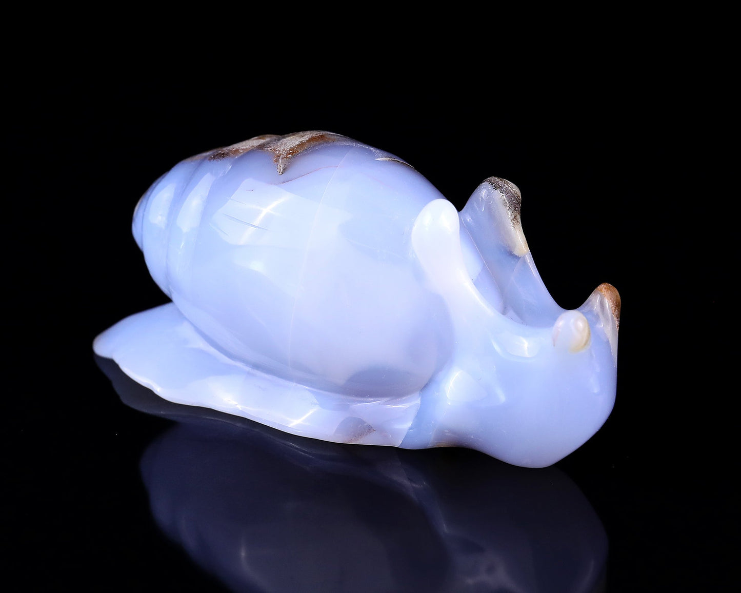 Nicedony 4.0" Blue Chalcedony Hand Carved Crystal Snail Sculpture - View 10