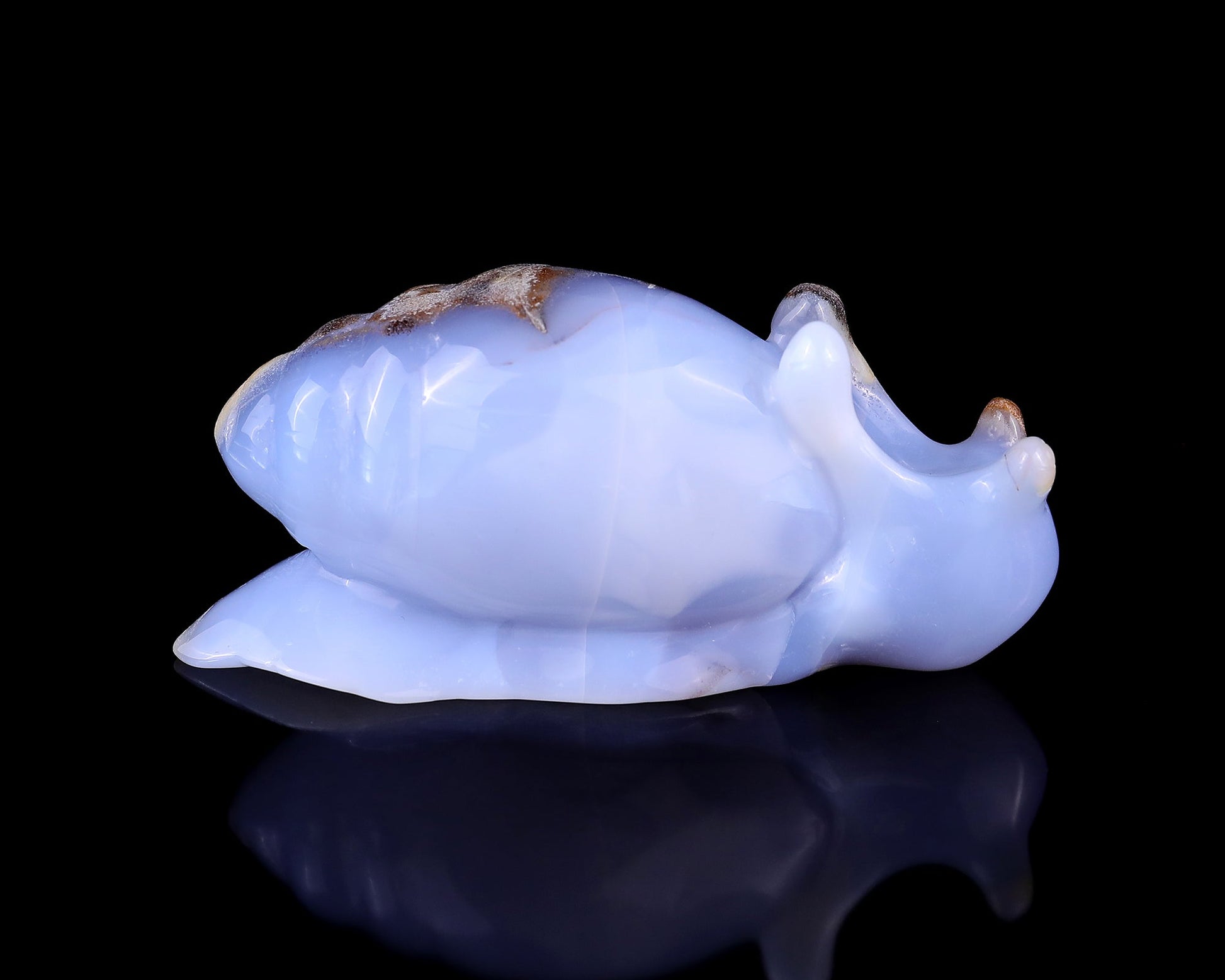 Nicedony 4.0" Blue Chalcedony Hand Carved Crystal Snail Sculpture - View 3