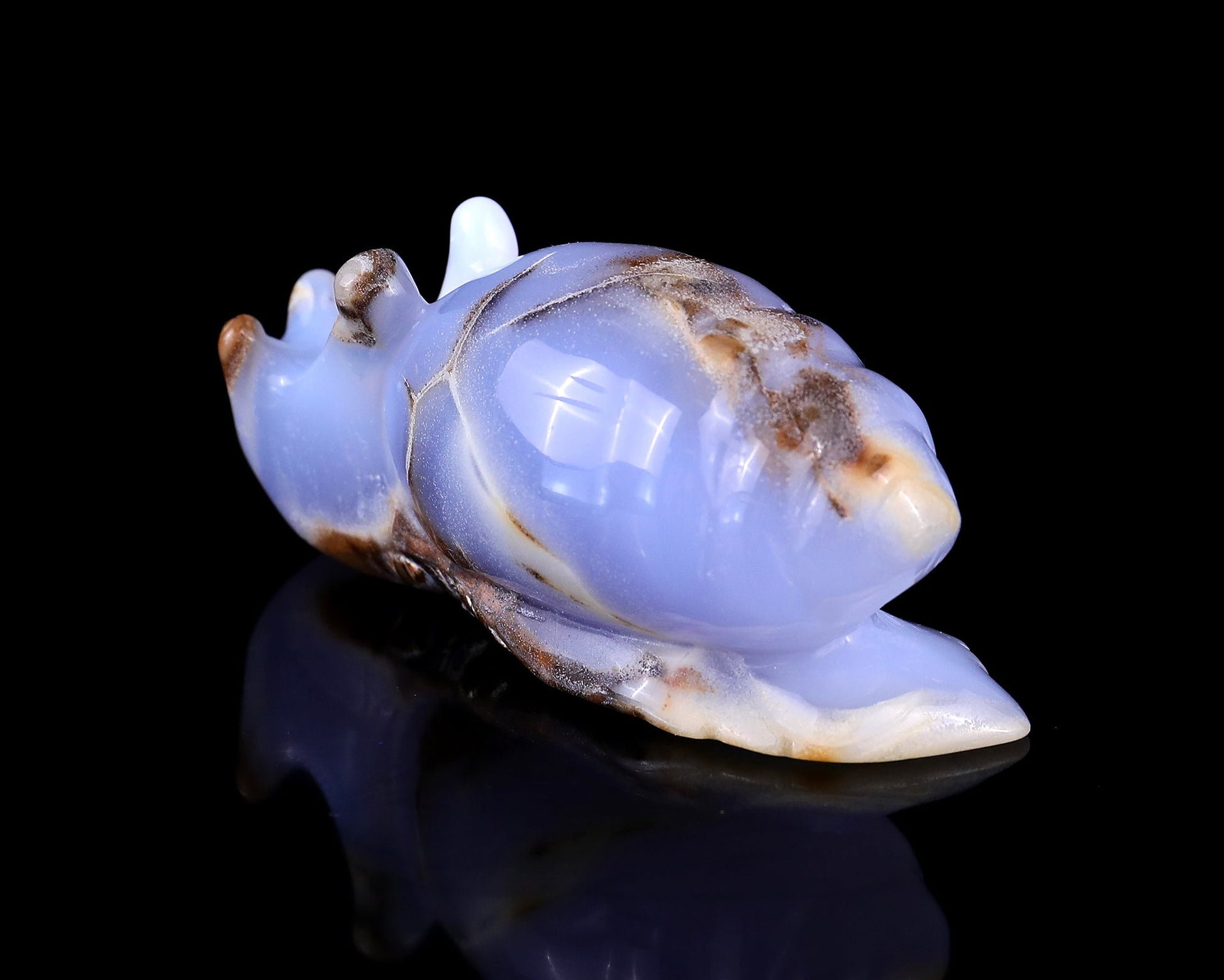 Nicedony 4.0" Blue Chalcedony Hand Carved Crystal Snail Sculpture - View 6