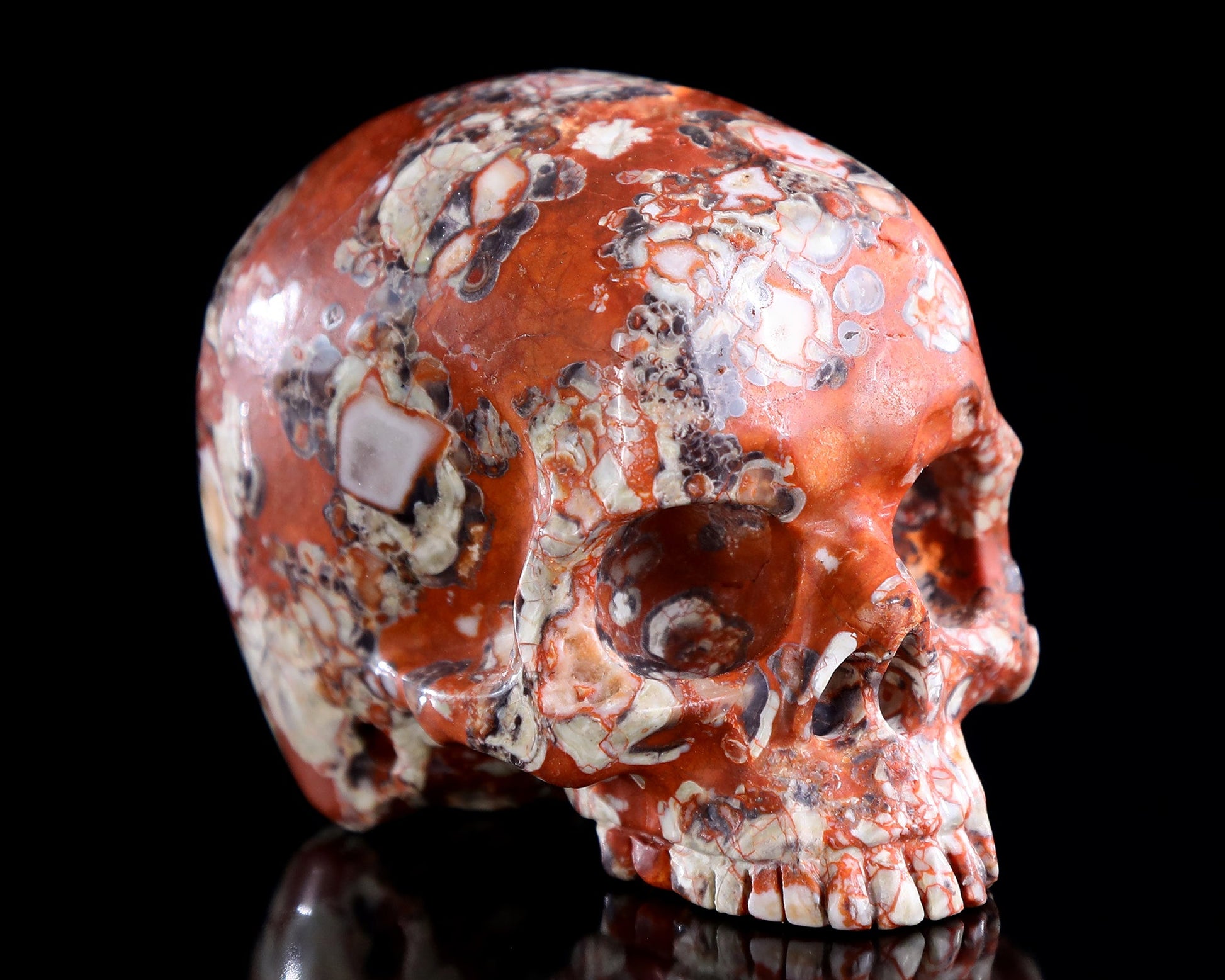 Nicedony 4.0" Coin Agate Hand Carved Crystal Skull Sculpture