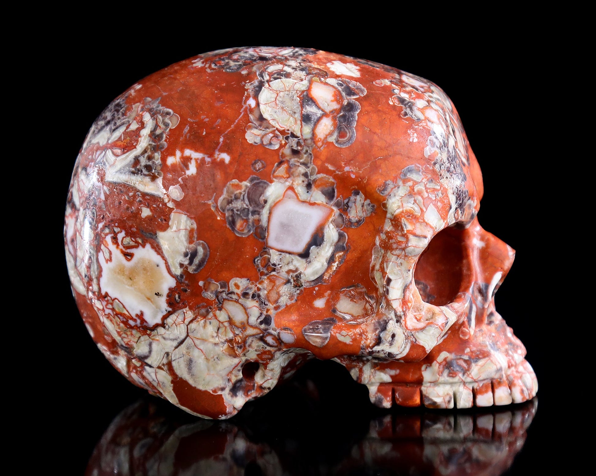 Nicedony 4.0" Coin Agate Hand Carved Crystal Skull Sculpture - View 4