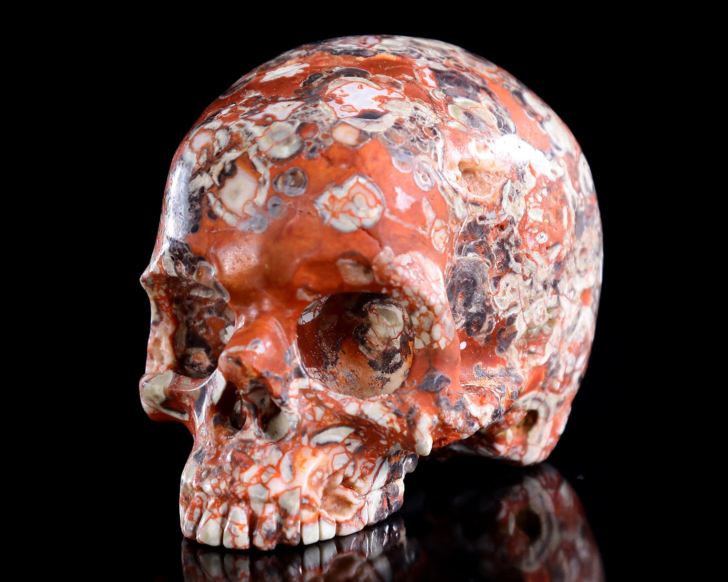 Nicedony 4.0" Coin Agate Hand Carved Crystal Skull Sculpture - View 7