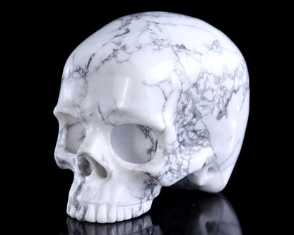 Nicedony 4.0" Howlite Hand Carved Crystal Skull Sculpture - View 7