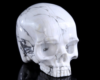 Nicedony 4.0" Howlite Hand Carved Crystal Skull Sculpture - View 10