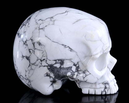 Nicedony 4.0" Howlite Hand Carved Crystal Skull Sculpture - View 13