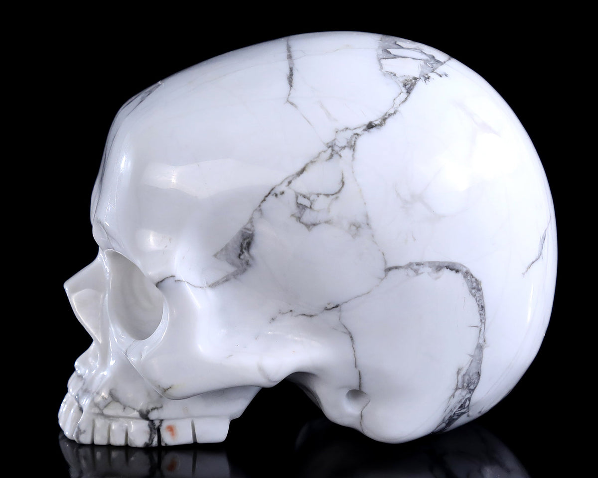 Why We Carve Skulls