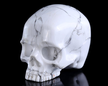 Nicedony 4.0" Howlite Hand Carved Crystal Skull Sculpture - View 16