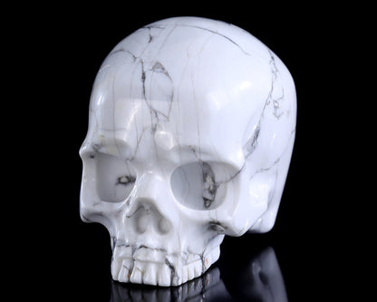 Nicedony 4.0" Howlite Hand Carved Crystal Skull Sculpture - View 17