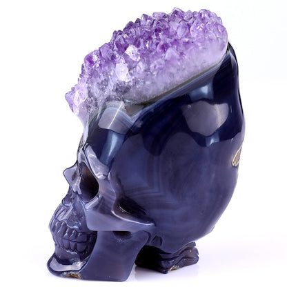 Nicedony 4.1" Amethyst Druse Agate Hand Carved Skull Sculpture - View 4