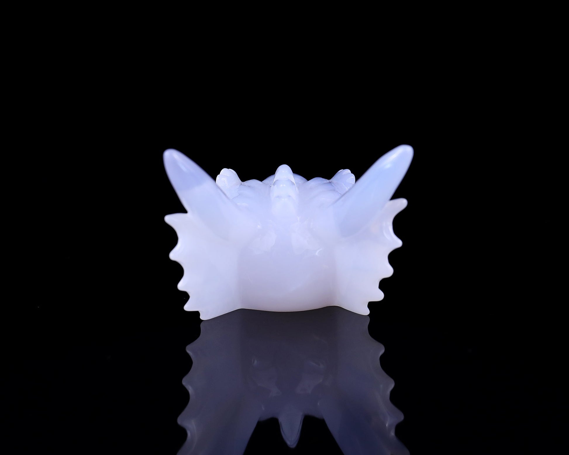 Nicedony 4.1" Blue Chalcedony Hand Carved Dragon Skull Sculpture - View 5