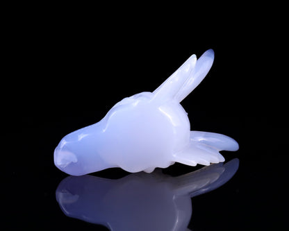 Nicedony 4.1" Blue Chalcedony Hand Carved Dragon Skull Sculpture - View 6