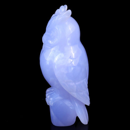 Nicedony 4.1" Blue Chalcedony Hand Carved Crystal Owl Sculpture - View 4
