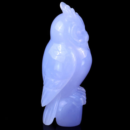 Nicedony 4.1" Blue Chalcedony Hand Carved Crystal Owl Sculpture - View 3