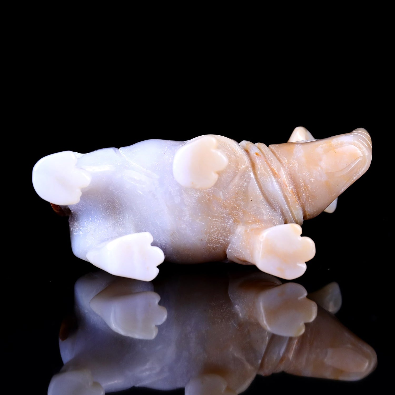 Why We Carve Animals