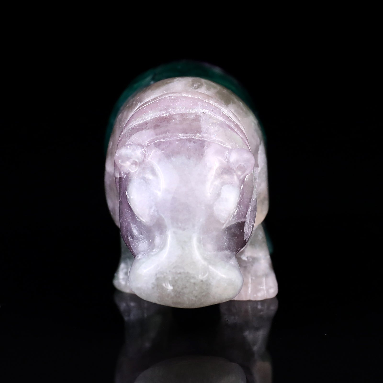 Nicedony 4.1" Colorful Fluorite Hand Carved Crystal Hippo Sculpture - View 2