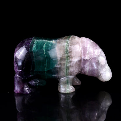 Nicedony 4.1" Colorful Fluorite Hand Carved Crystal Hippo Sculpture - View 7