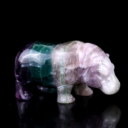 Nicedony 4.1" Colorful Fluorite Hand Carved Crystal Hippo Sculpture - View 4