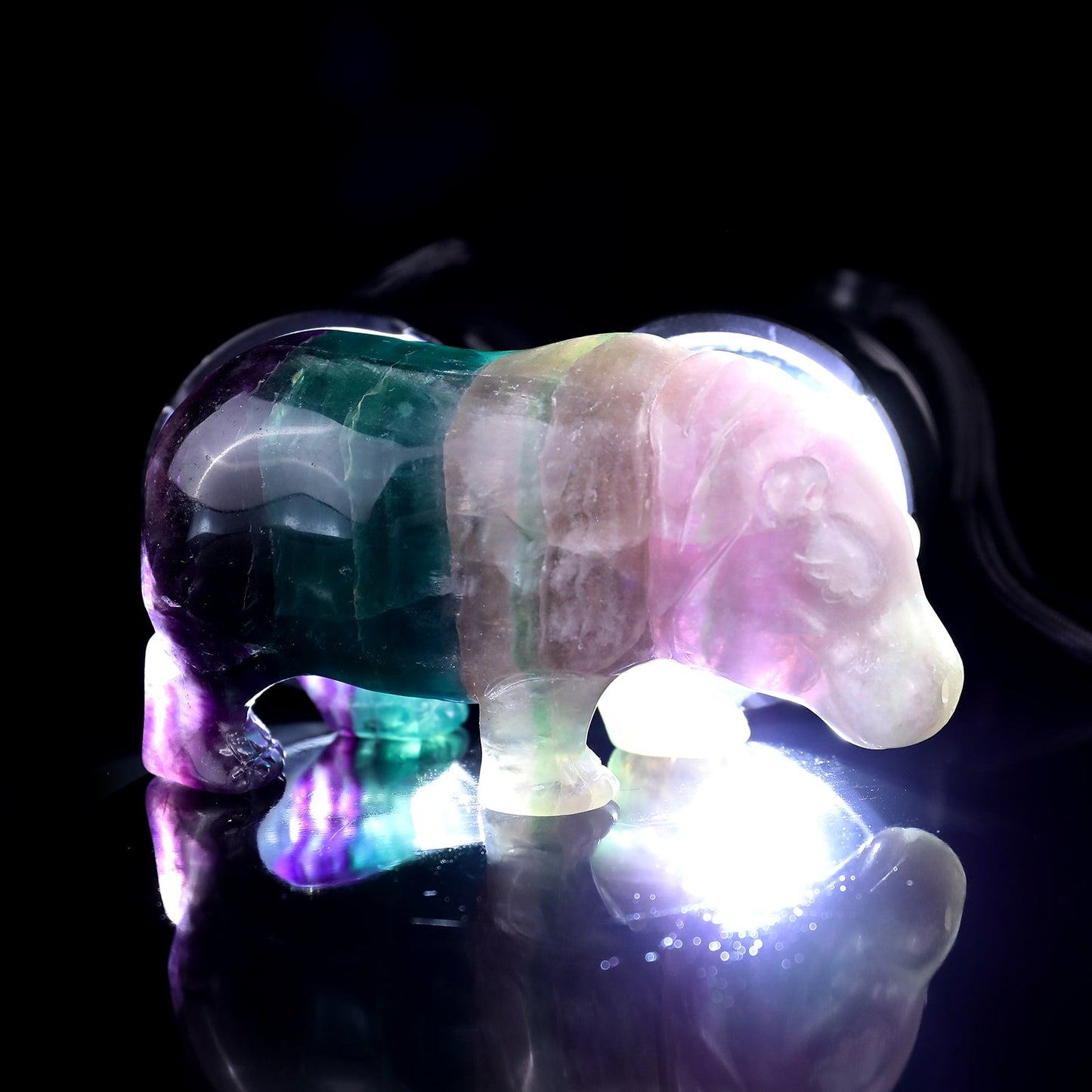 Nicedony 4.1" Colorful Fluorite Hand Carved Crystal Hippo Sculpture